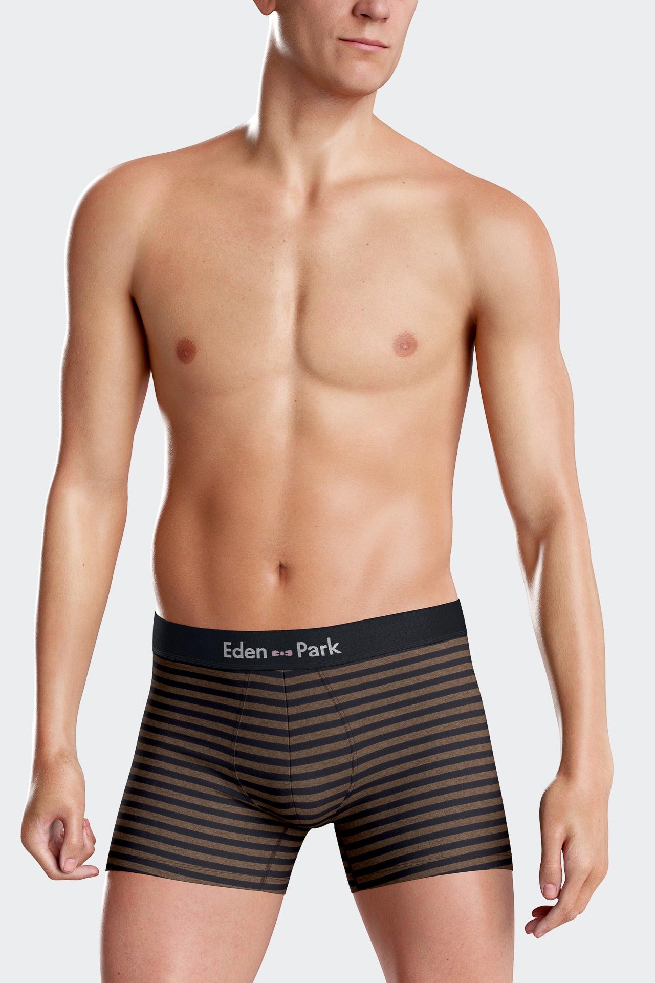 Set of 2 brown and striped stretch cotton boxers